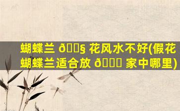 蝴蝶兰 🐧 花风水不好(假花蝴蝶兰适合放 🐕 家中哪里)